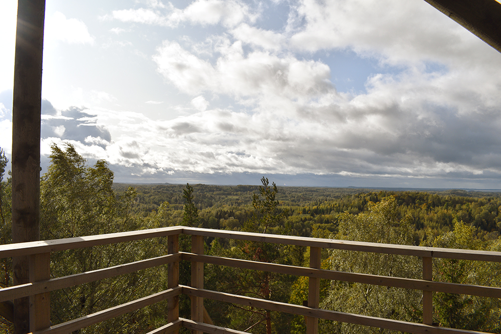 Смотровая башня Лиелайс Лиепукалнс (Lielais Liepukalns)